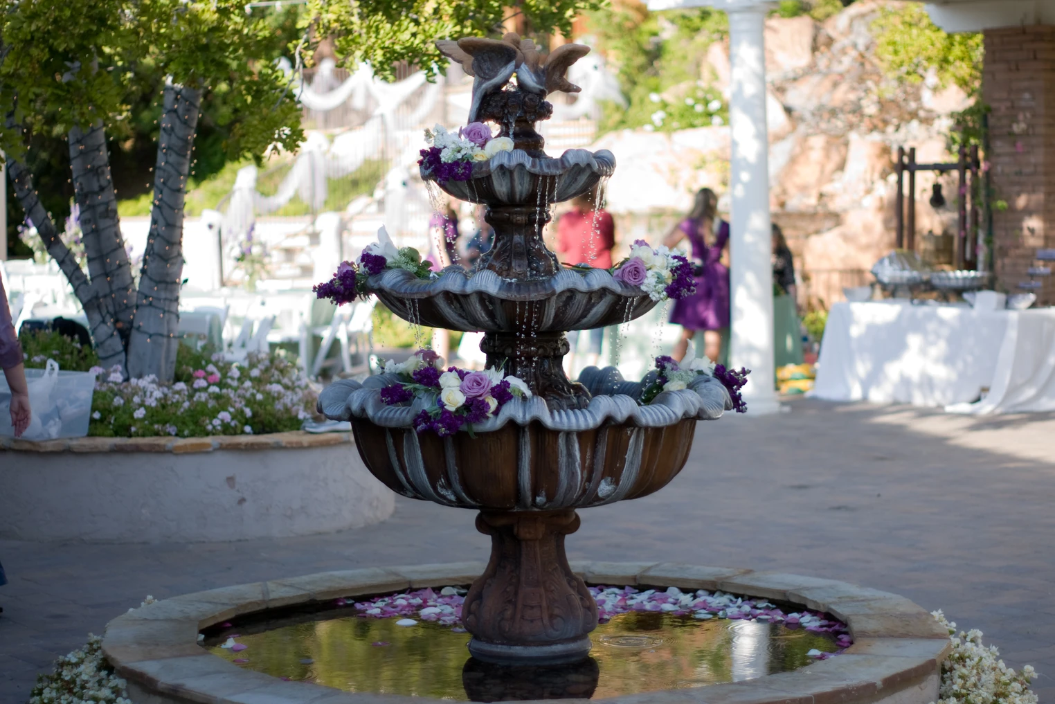 Service image