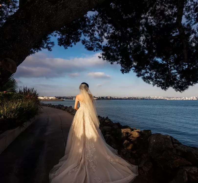 Silver And Sage Weddings