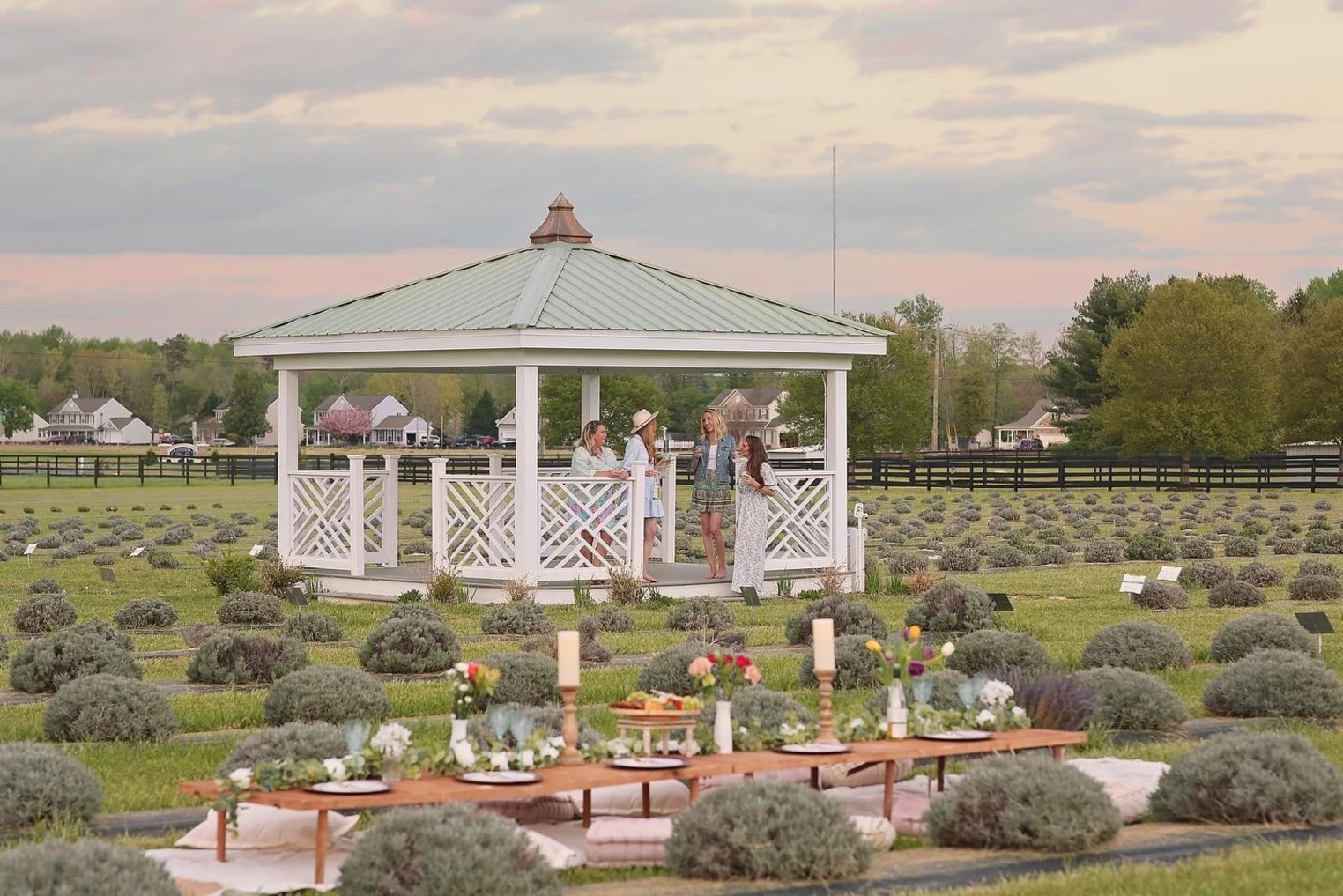 Brittingham Farms