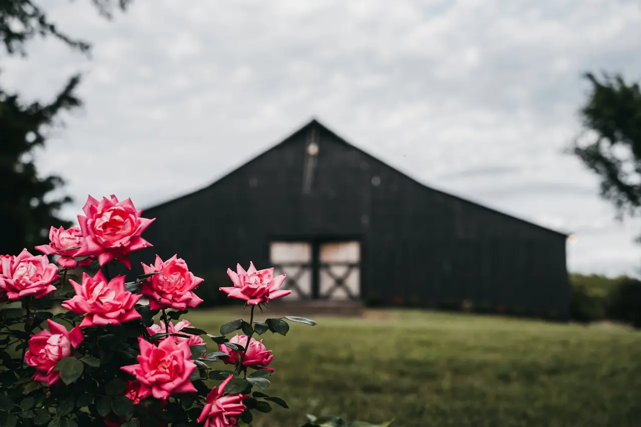 Black Barn At Stone Creek
