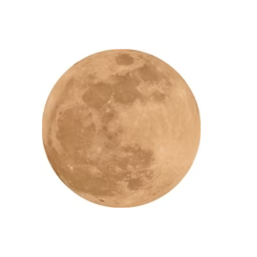 Harvest Moon Farm