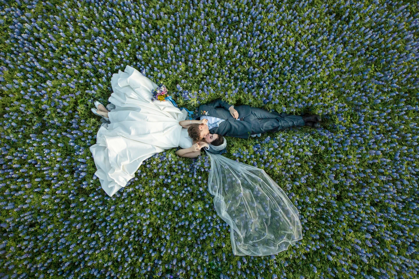 Pedigo Photography