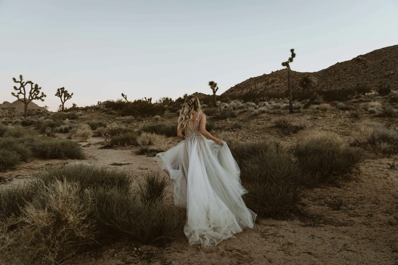 Desert Flower Events