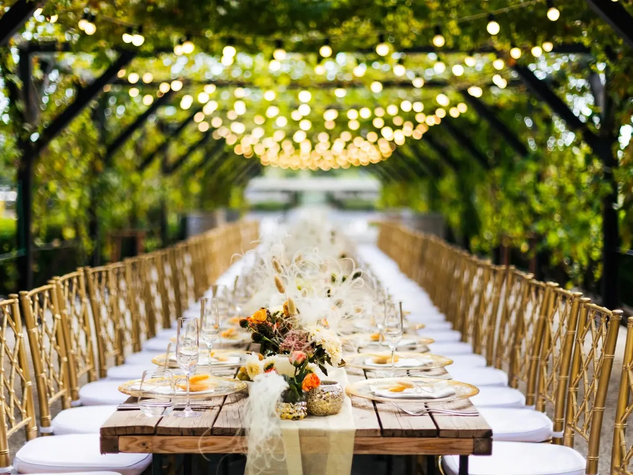 Bonnza Catering