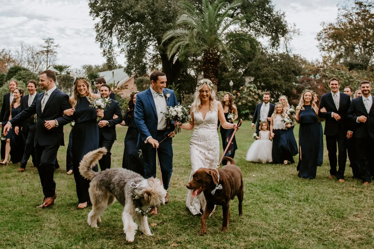 Natalie S Miller Photography