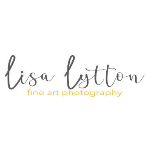 Lisa Lytton Photography