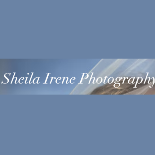 Sheila Irene Photography