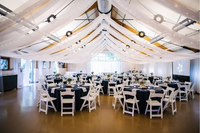 Little Wedding Blush