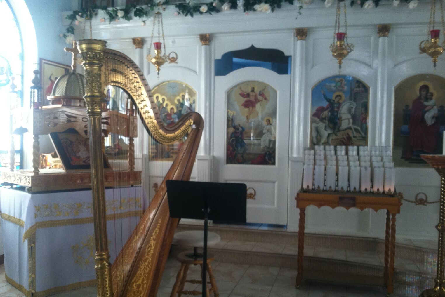 Celestial Strings - Roseann Canfora, Harpist