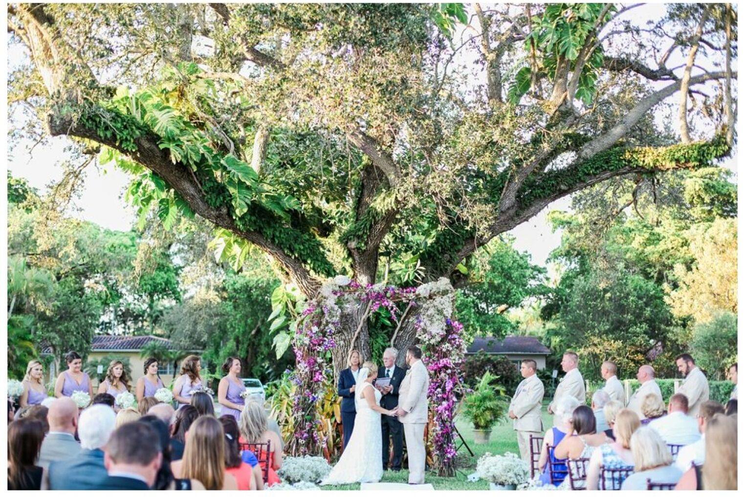 The Coco Plum