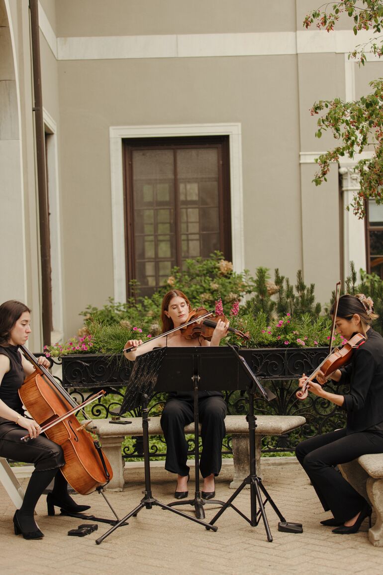 Solaria Strings