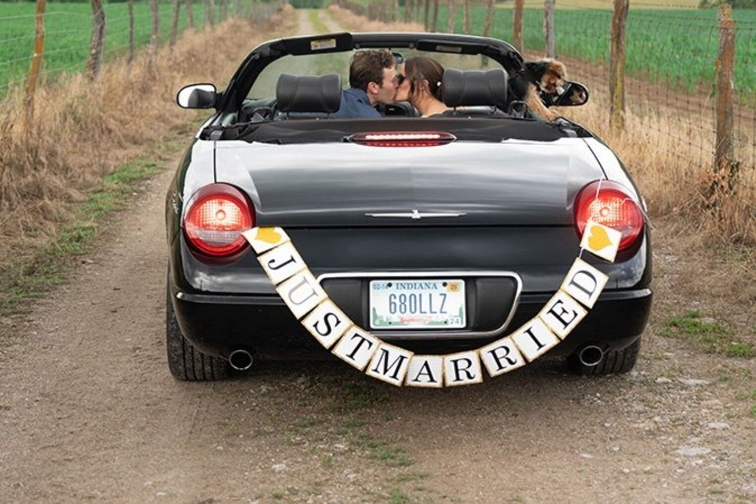 The Wedding Dr.