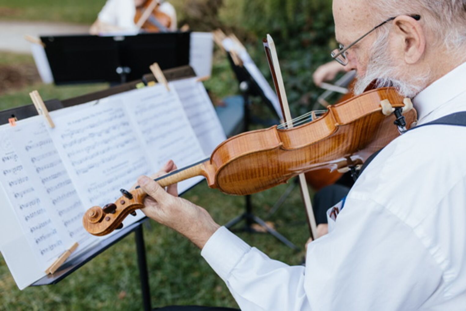 Ovation Strings