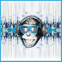Discosapien Weddings